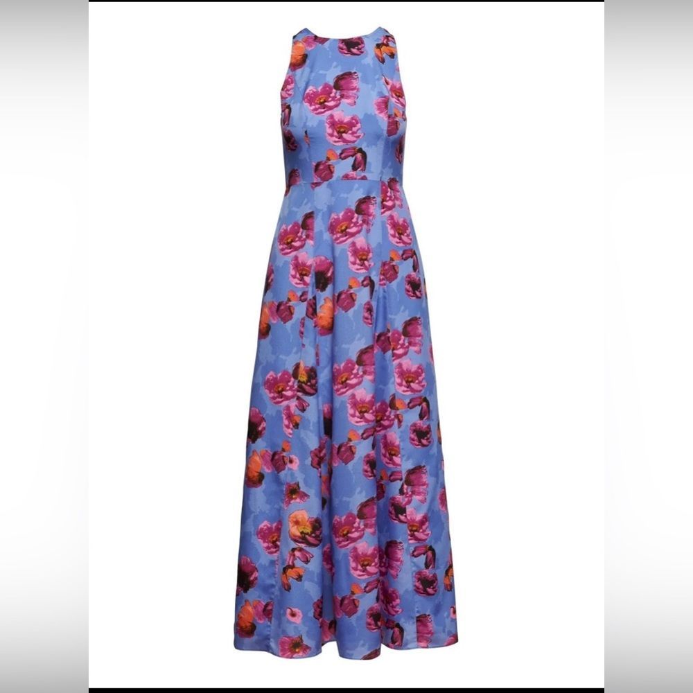 Banana Republic Floral Maxi Dress